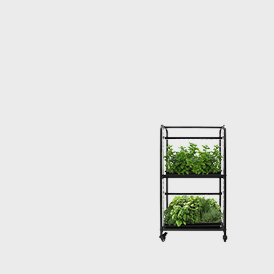 Stand