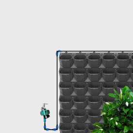 Wall