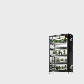 Grow Cupboard