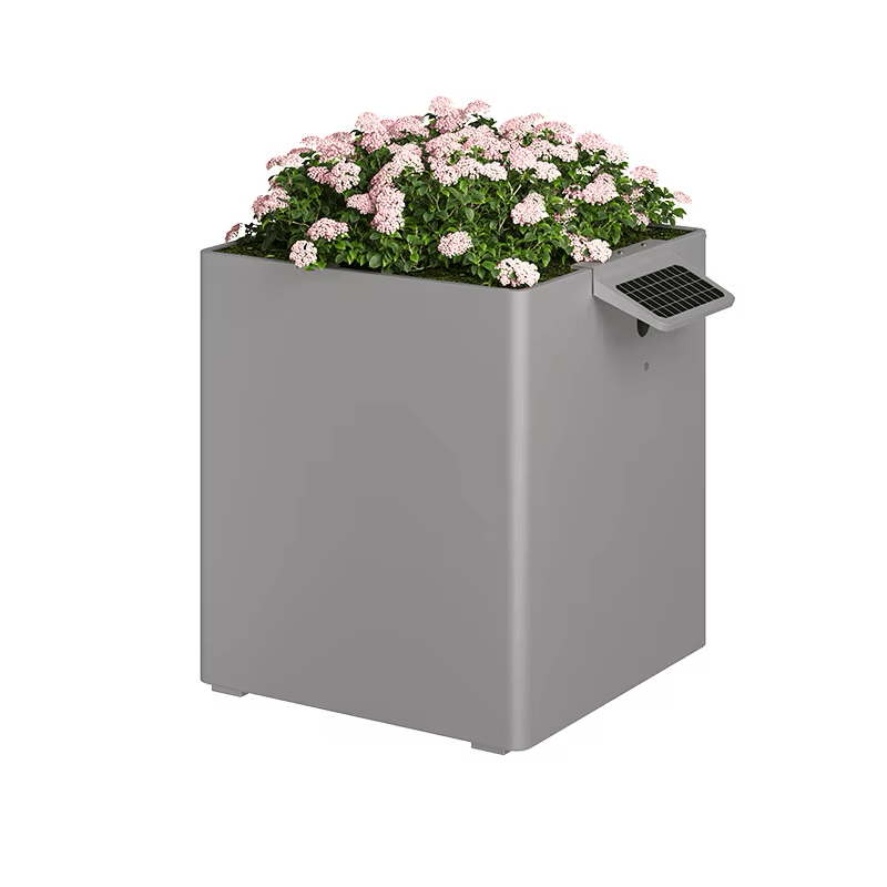 Garden Box