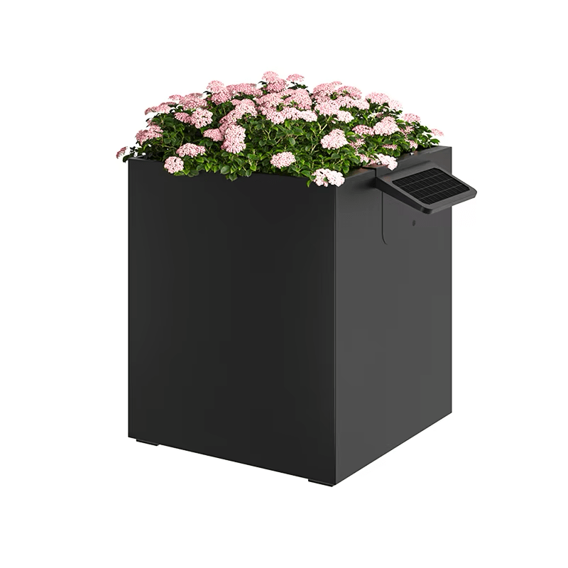 Garden Box