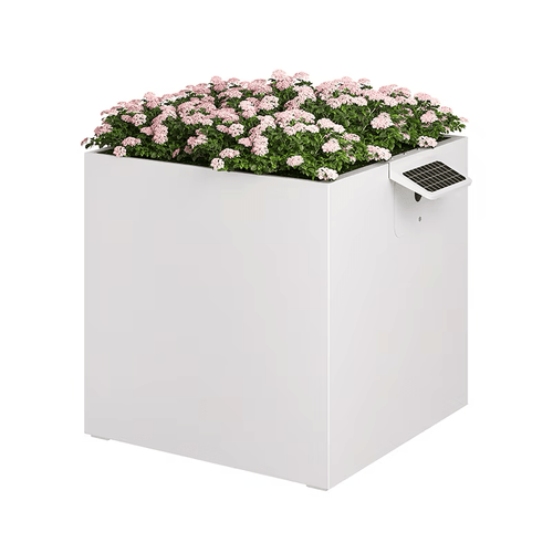 Garden Box (100x100x100)