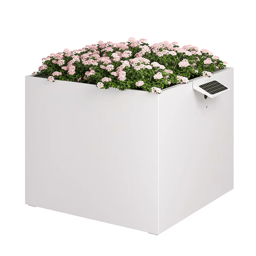 Garden Box (120x120x100)