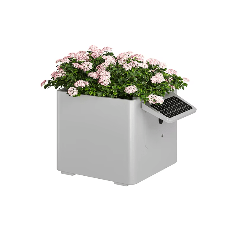 Garden Box