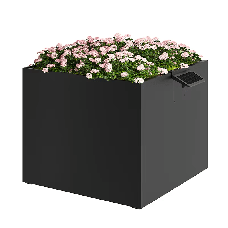 Garden Box