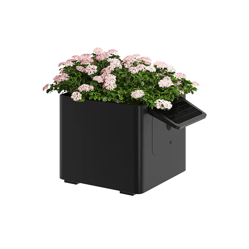 Garden Box