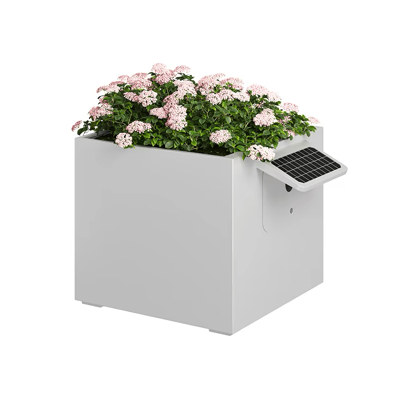 Garden Box