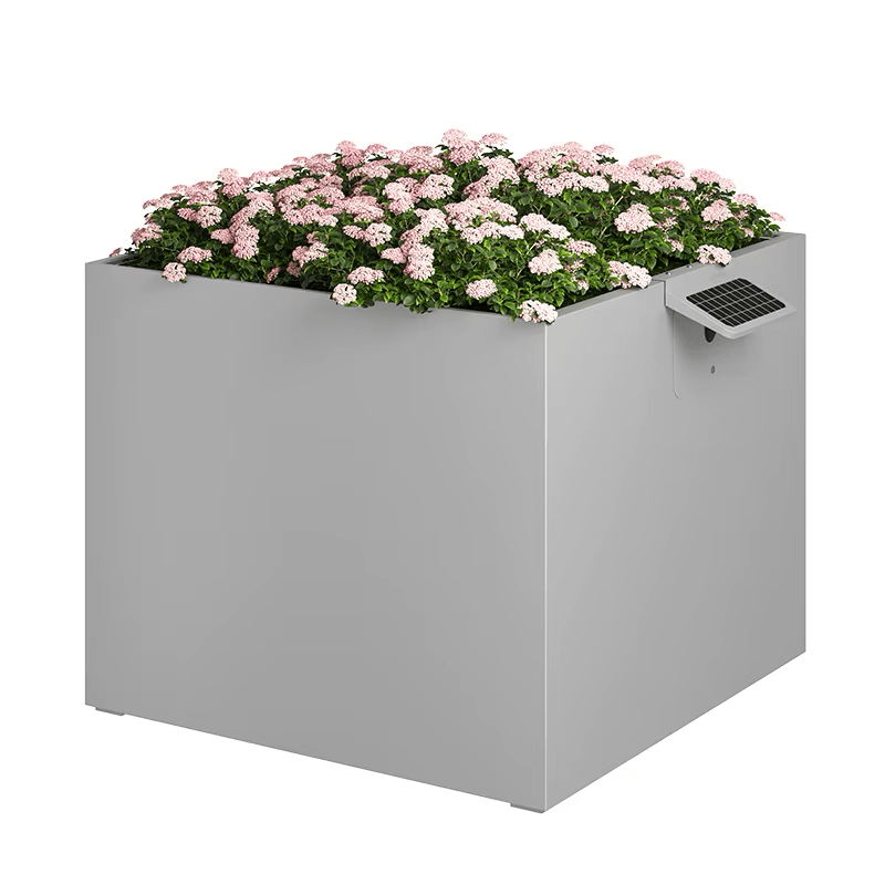 Garden Box