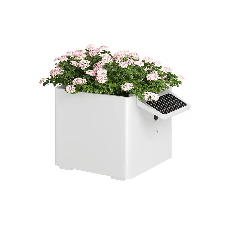 Garden Box