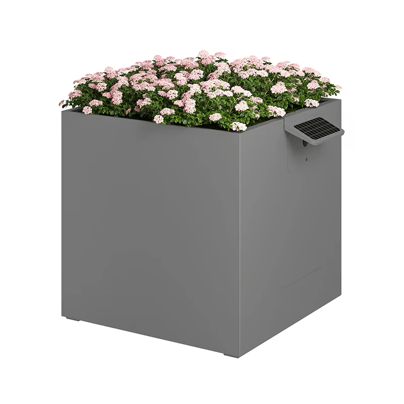Garden Box