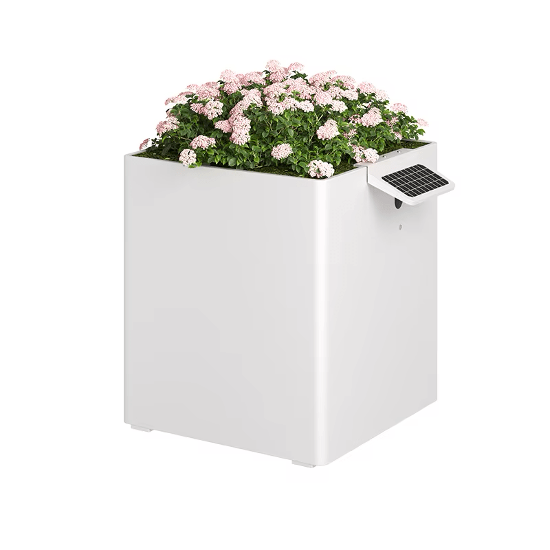 Garden Box