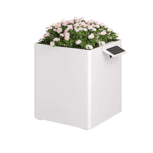 Garden Box