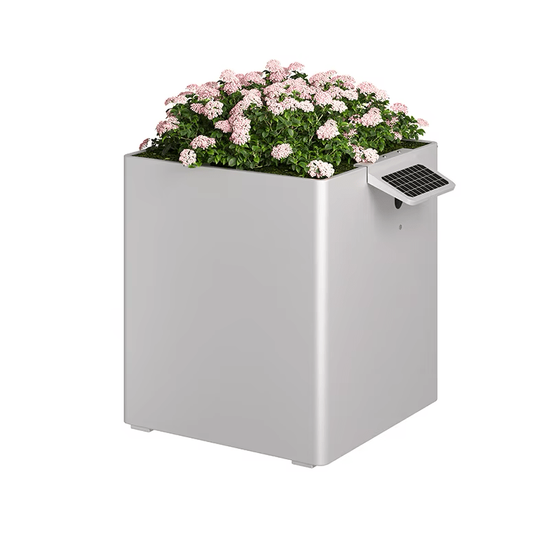 Garden Box