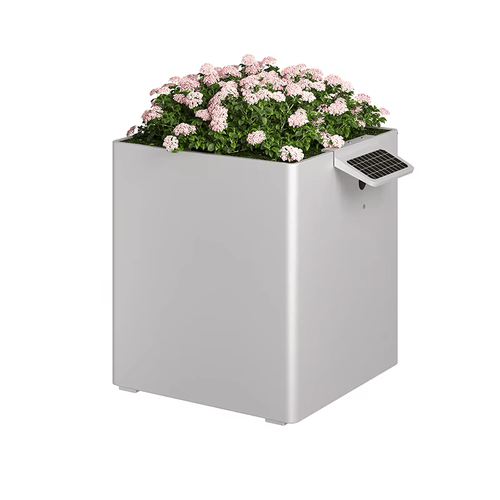Garden Box
