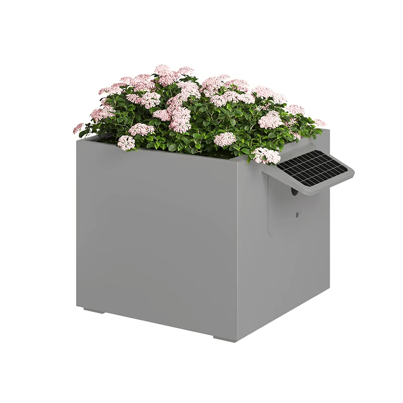 Garden Box