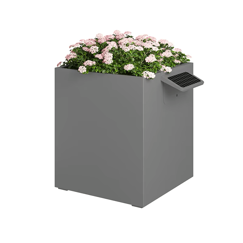 Garden Box