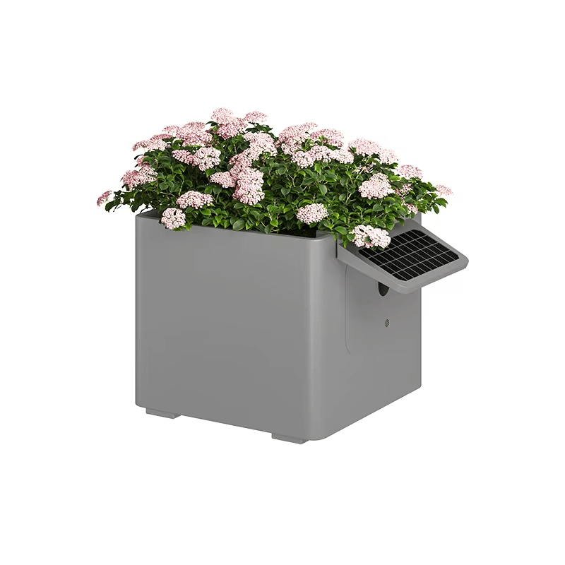 Garden Box