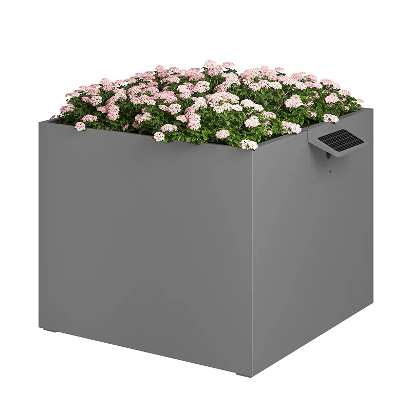 Garden Box