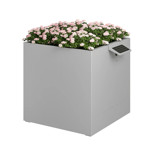 Garden Box (100x100x100)