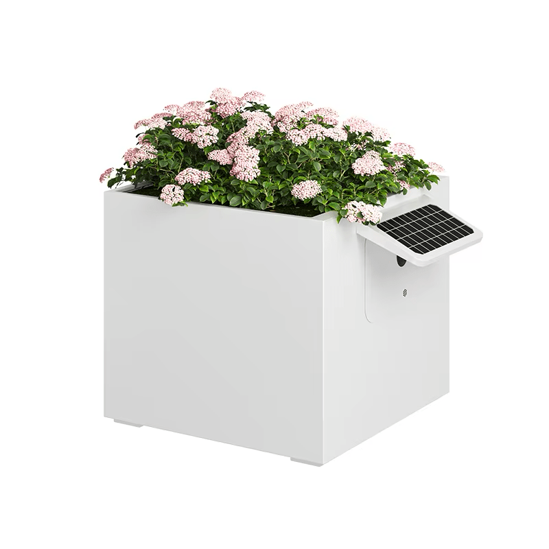 Garden Box