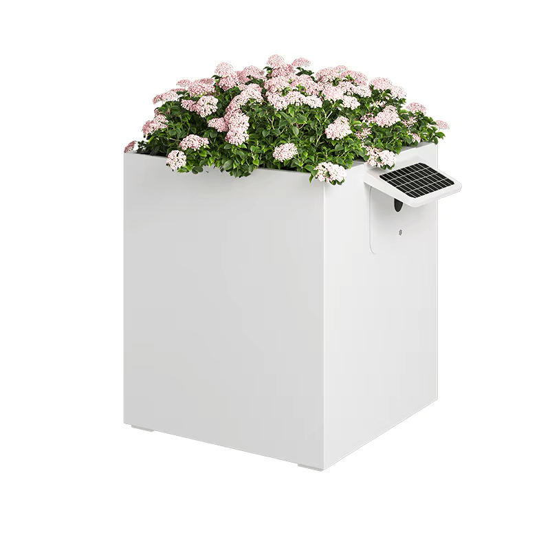 Garden Box