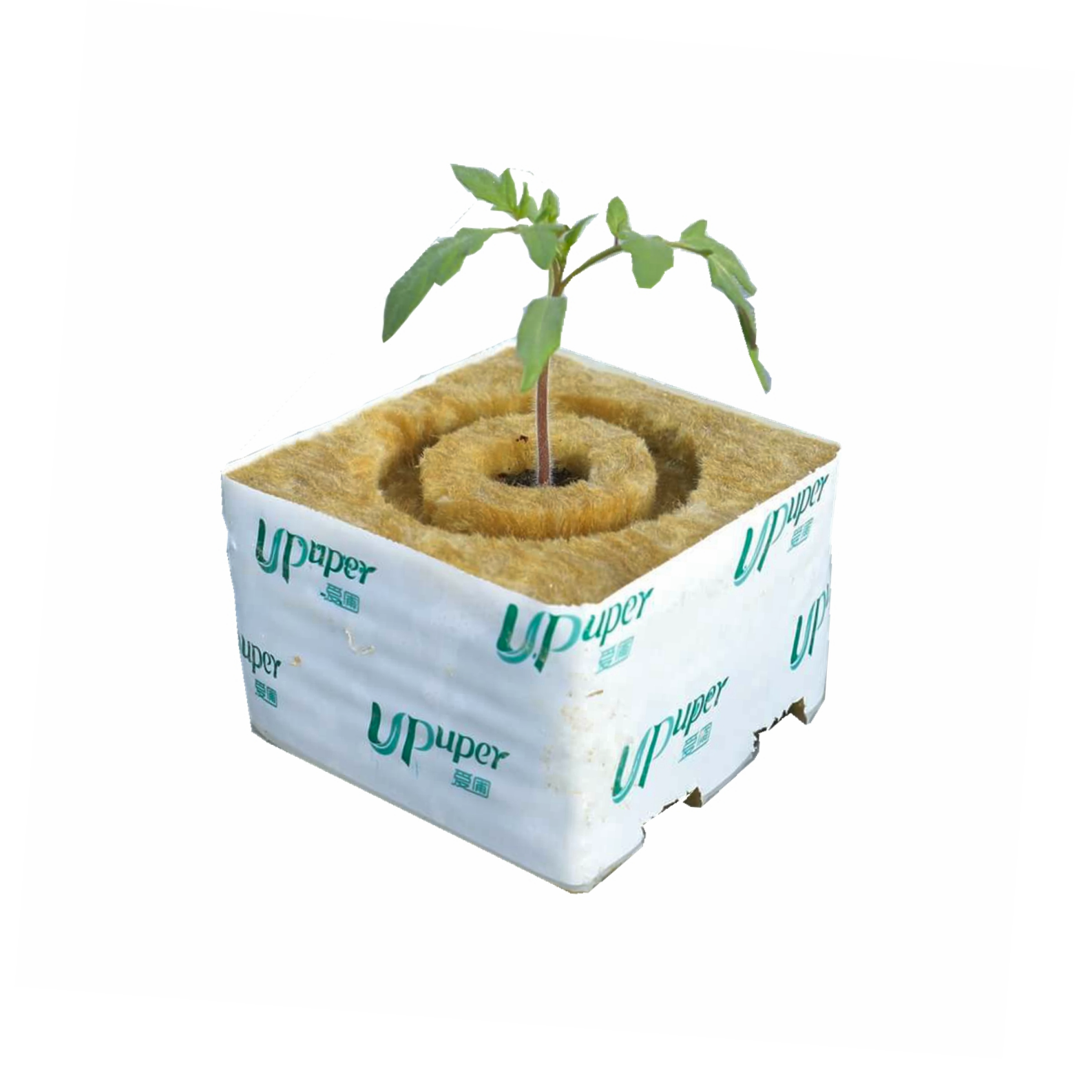 Grow Block