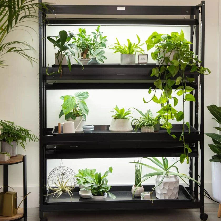 Color LED Grow Light Spectrum Plant Growth Indoor Greenhouse Gardening 3-Tier Plant Stand with Three Watertight Shelf Trays