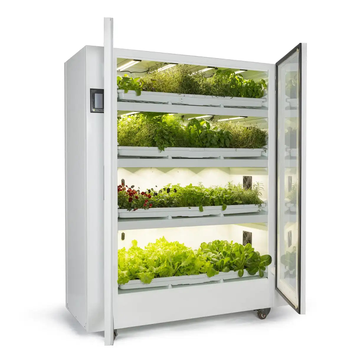Grow Cupboard