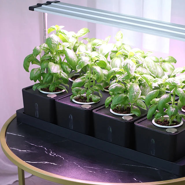 Grow Container