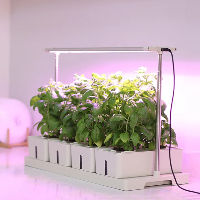 Grow Container