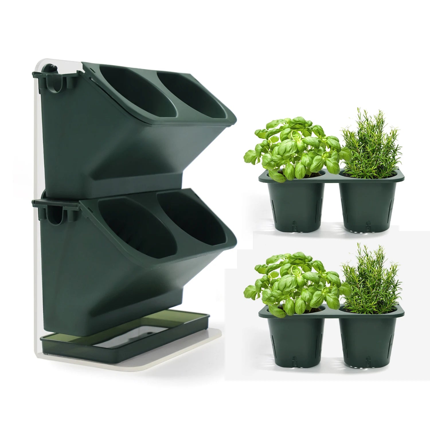 Grow Stand