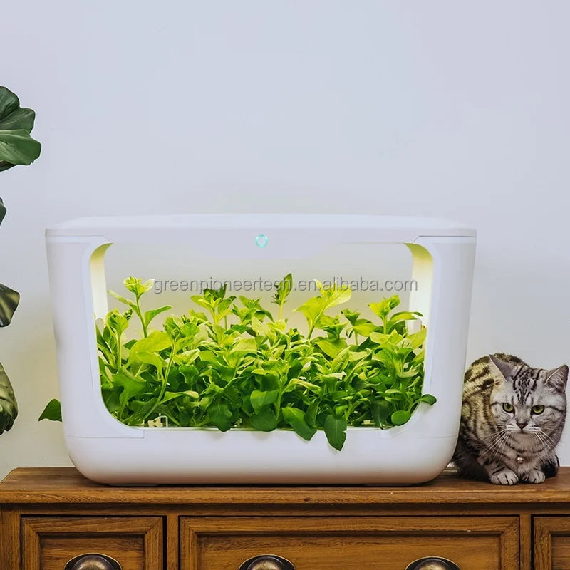 Grow Box