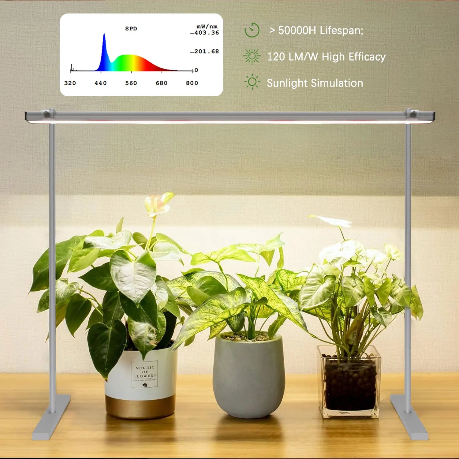 Grow Light