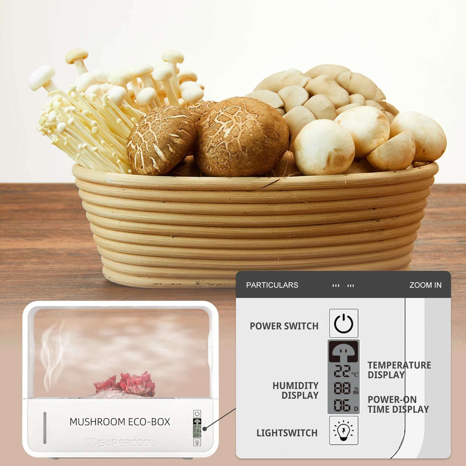 Mushroom Grow Box 2.0
