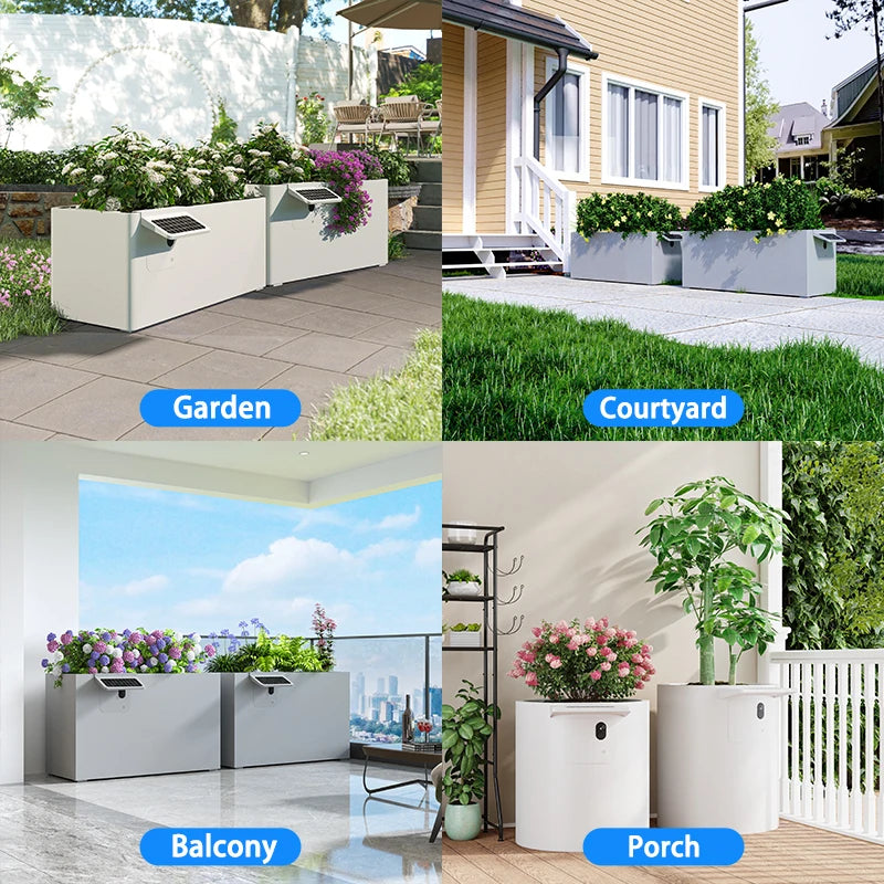 Garden Box 12