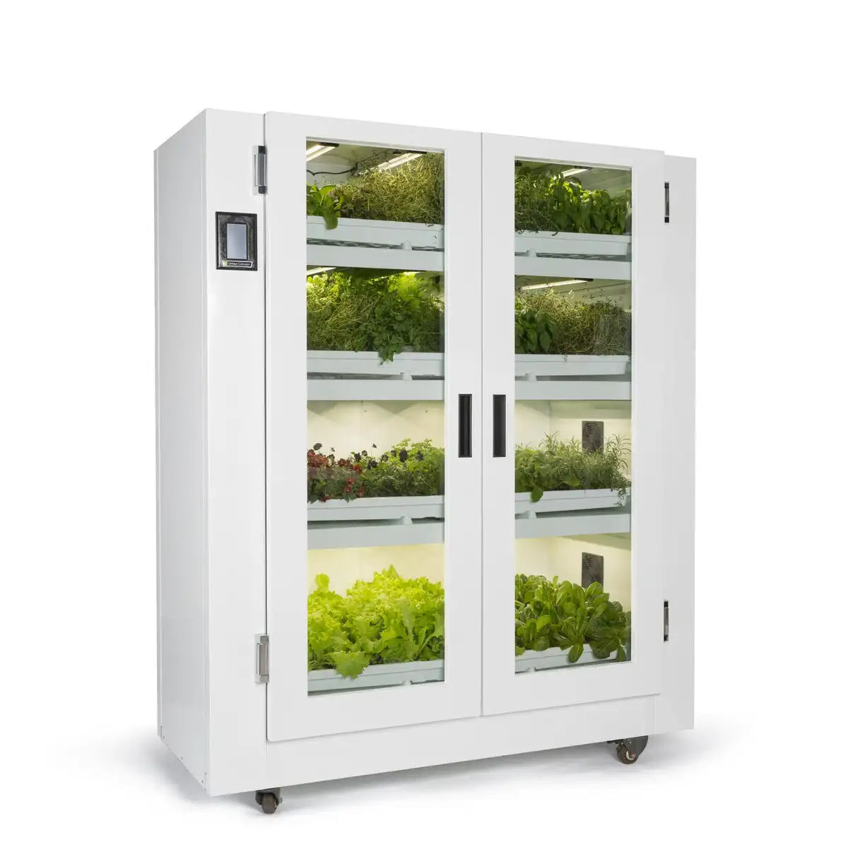 Grow Cupboard