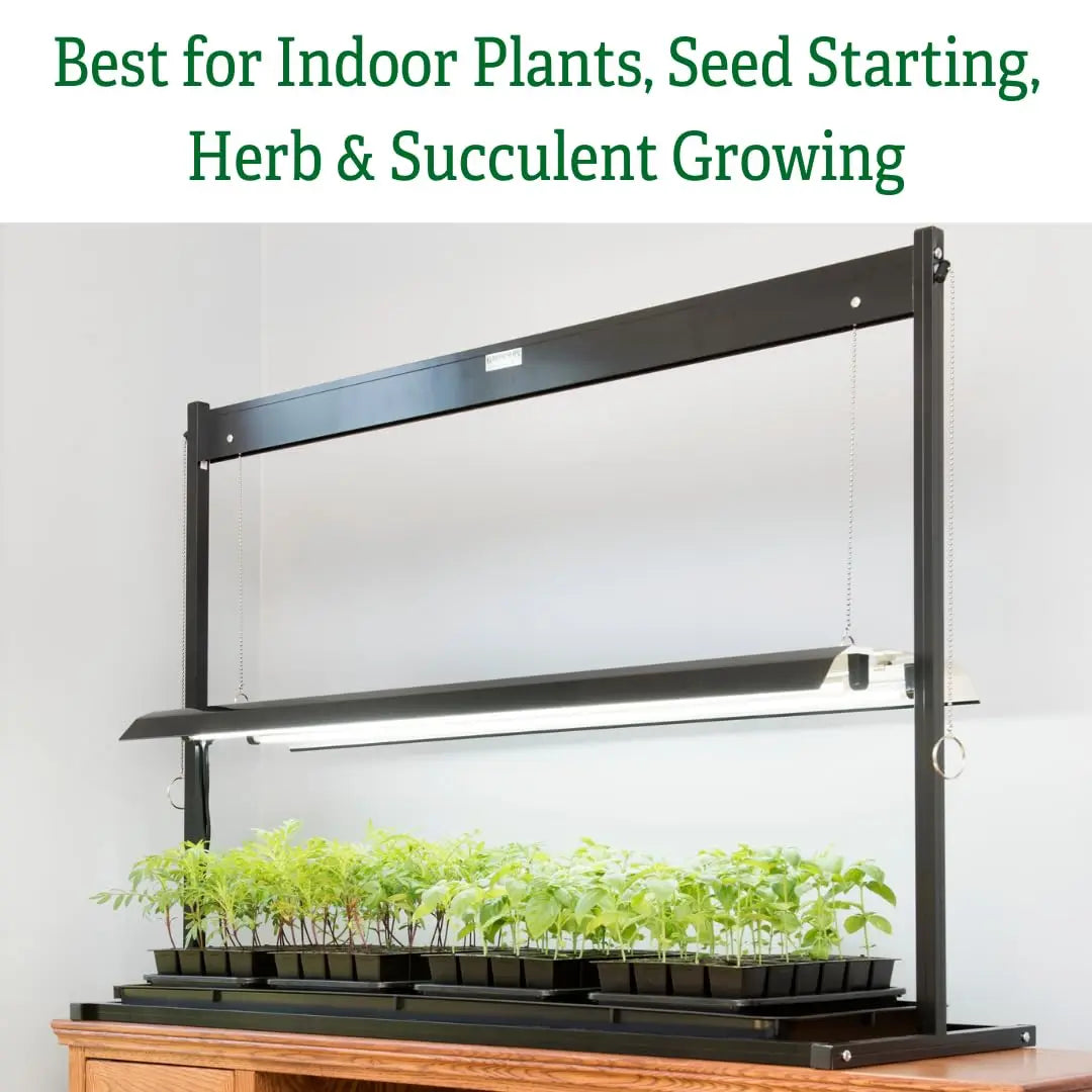 Indoor LED Tabletop Grow Light Plant Stand With Two LED 6500K Bulbs Included for Succulent Herb and Houseplant Growth