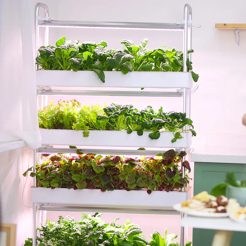Grow Shelf 3.0