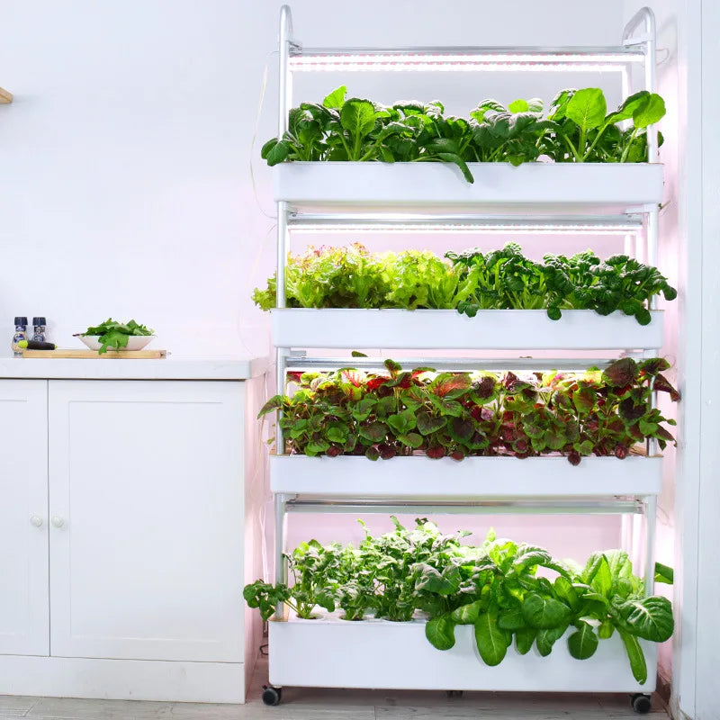 Grow Shelf 3.0