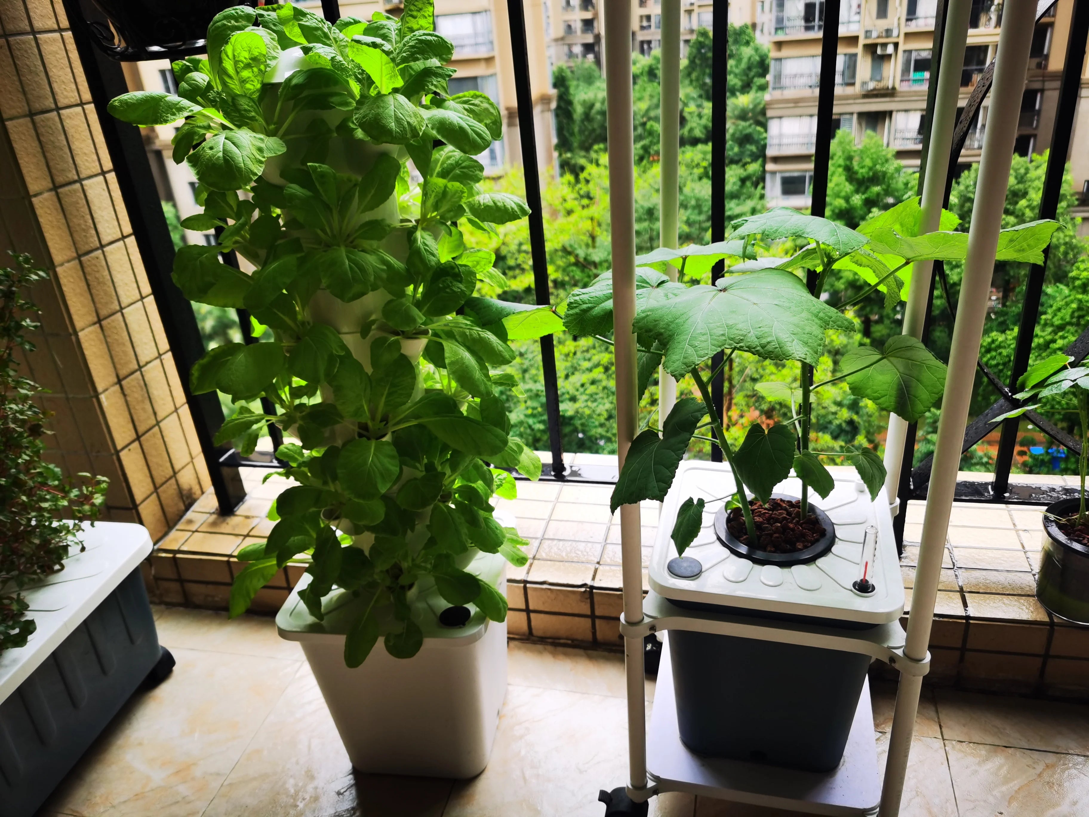 Grow Pot