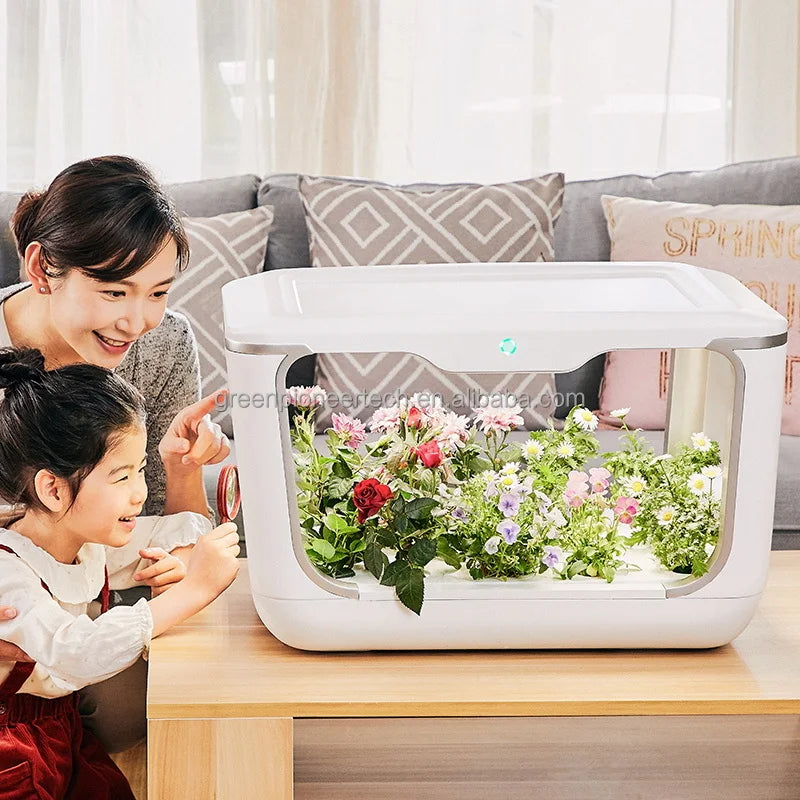 Grow Box