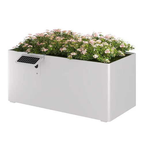 Garden Box