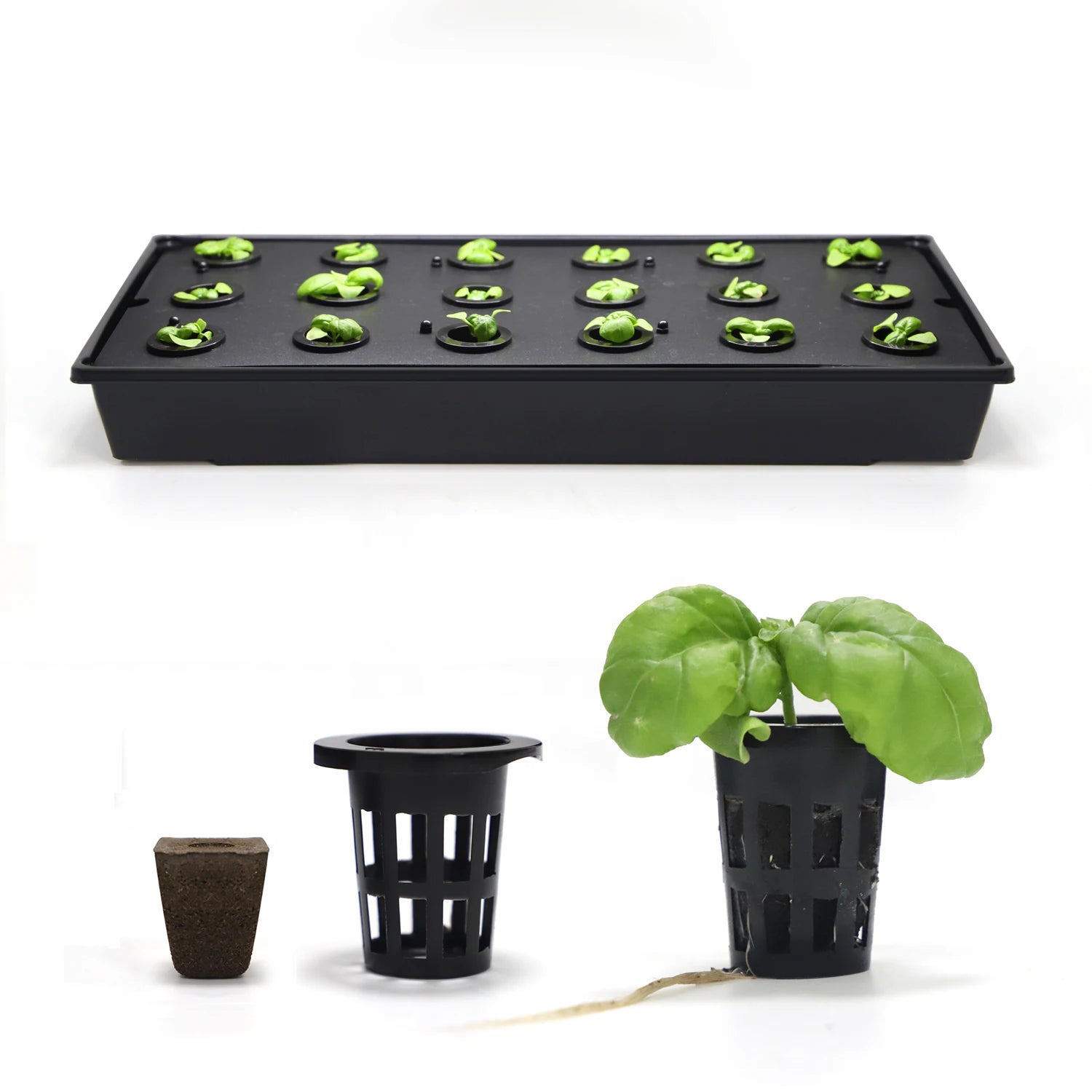 Grow Tray