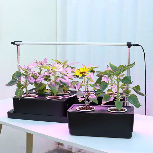 Grow Container