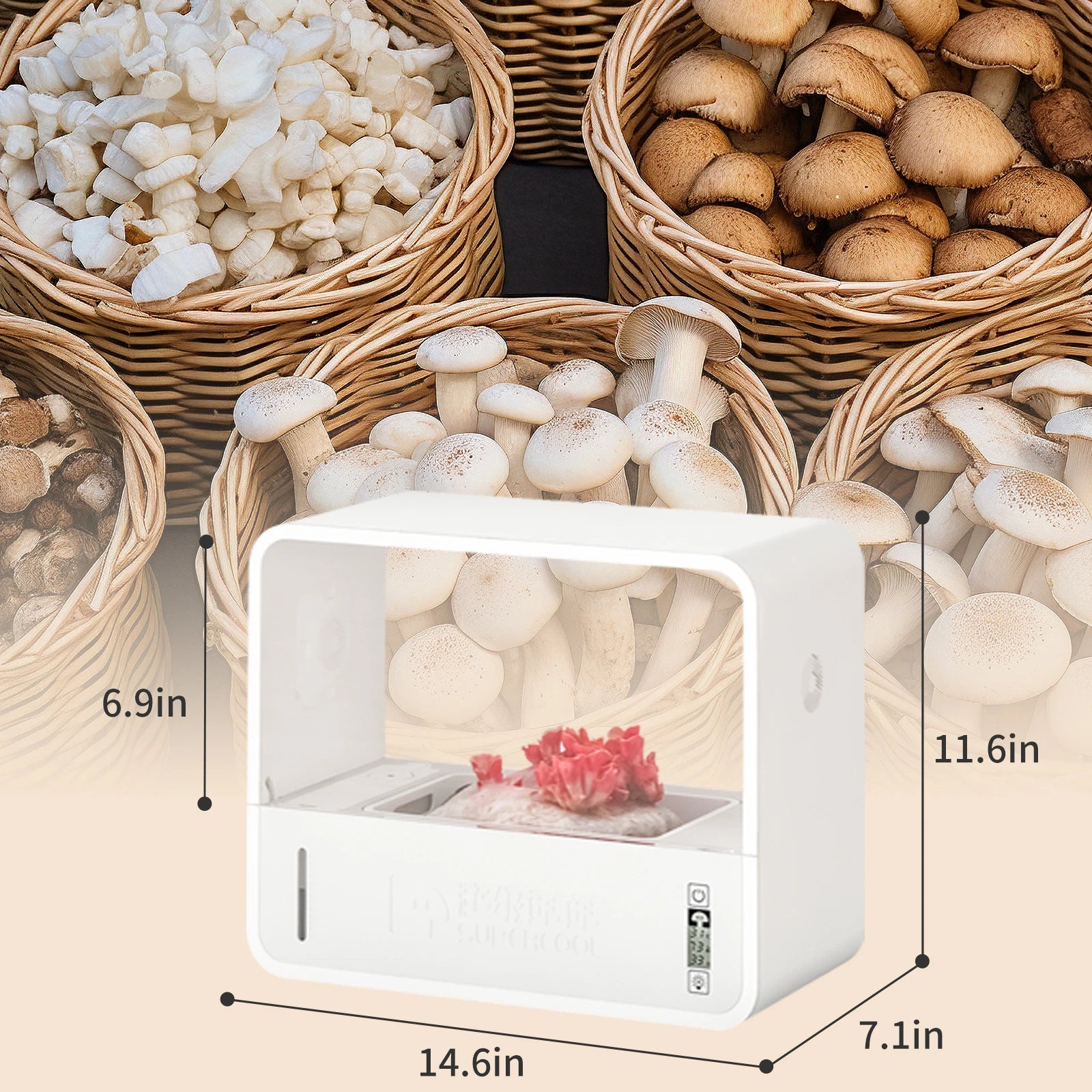 Mushroom Grow Box 2.0