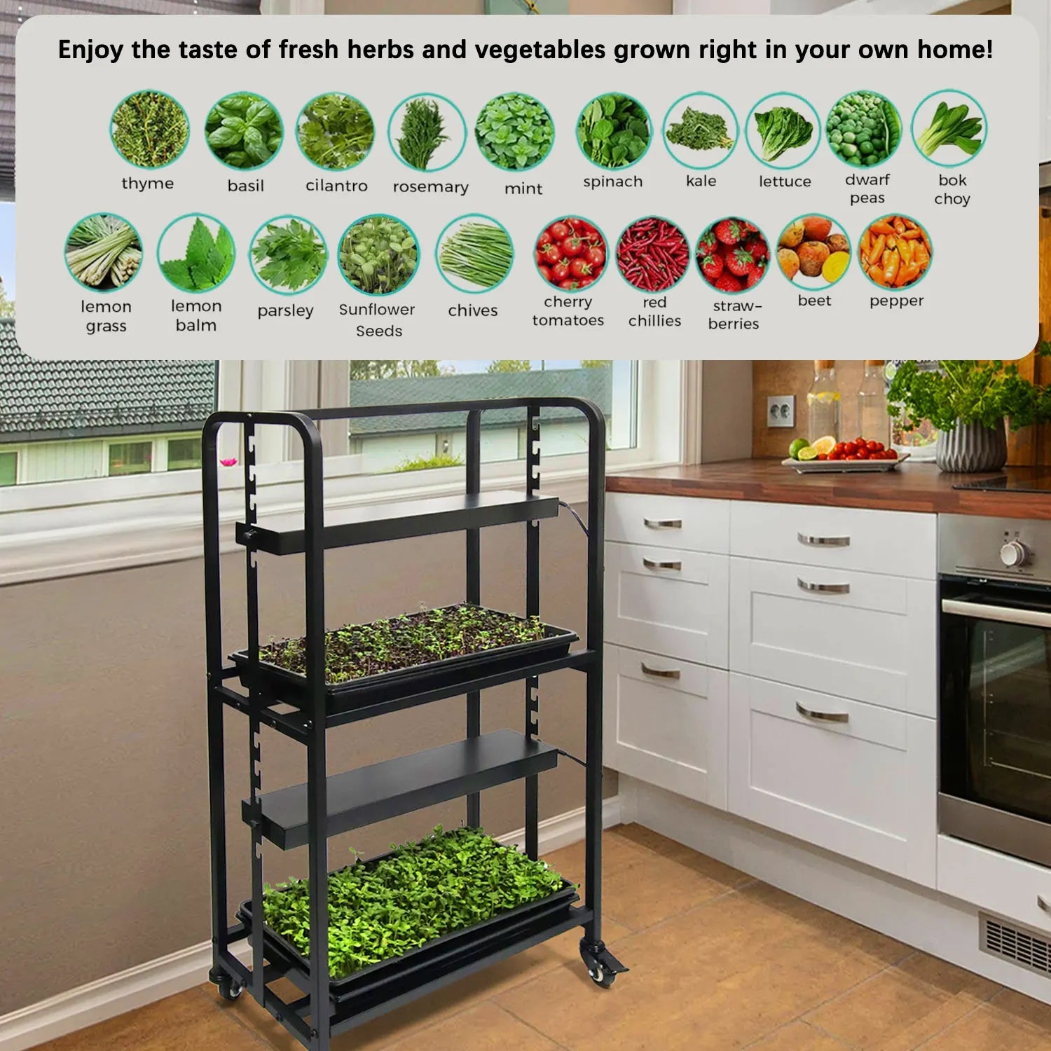 Grow Rack