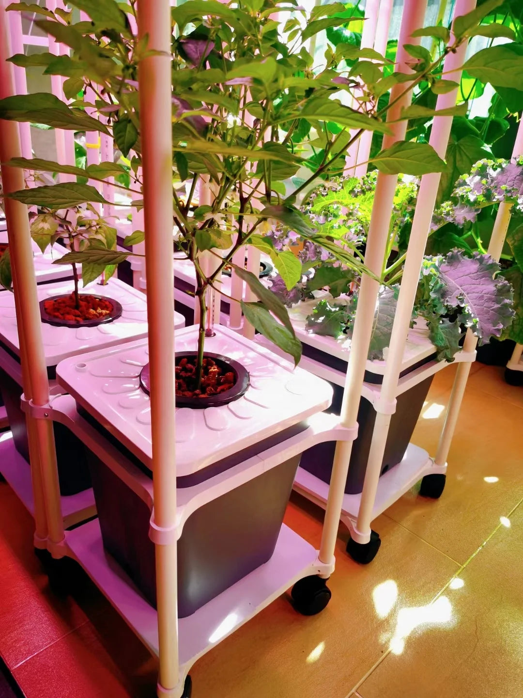 Grow Pot