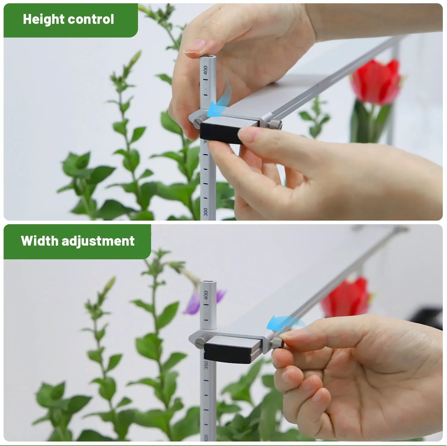 Grow Light