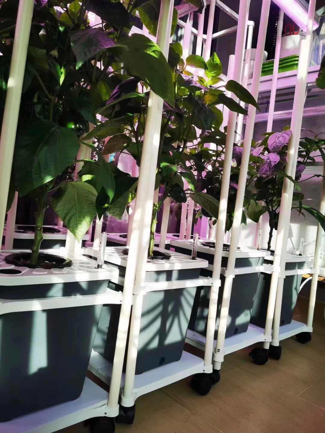 Grow Pot