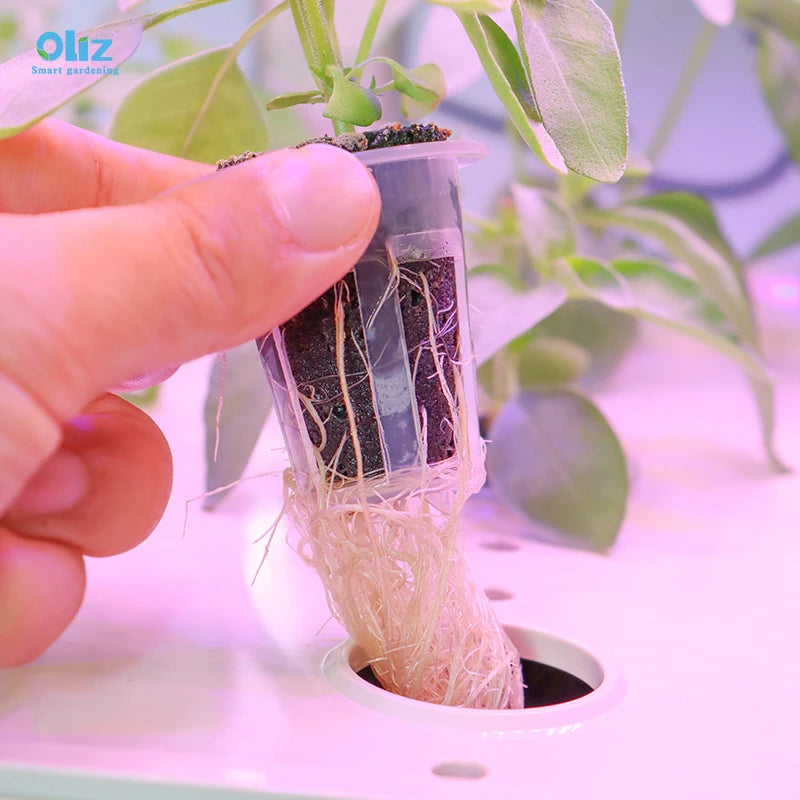 Grow Table Top